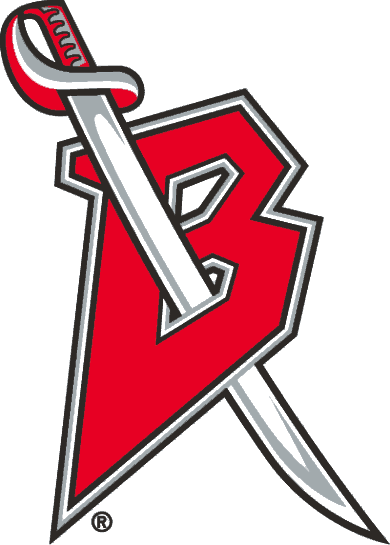 Buffalo Sabres 1996-1999 Alternate Logo t shirts iron on transfers v3